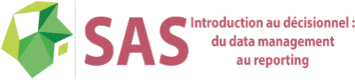SAS - Introduction au décisionnel : du data management au reporting